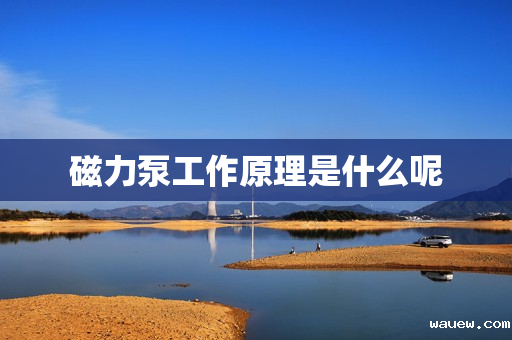 磁力泵工作原理是什么呢