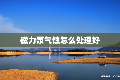 磁力泵气蚀怎么处理好