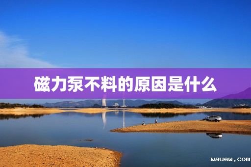 磁力泵不料的原因是什么