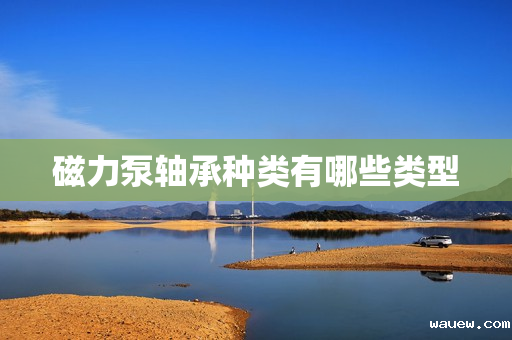 磁力泵轴承种类有哪些类型