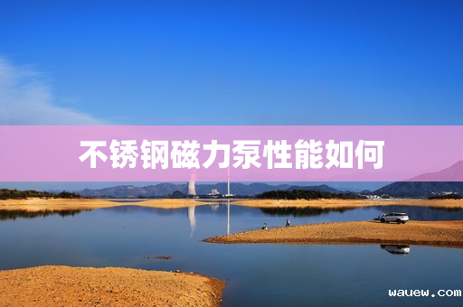 不锈钢磁力泵性能如何