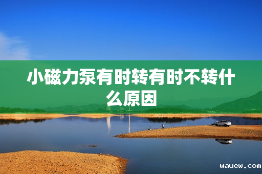 小磁力泵有时转有时不转什么原因