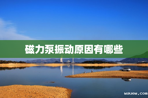 磁力泵振动原因有哪些