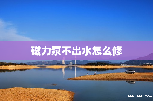 磁力泵不出水怎么修