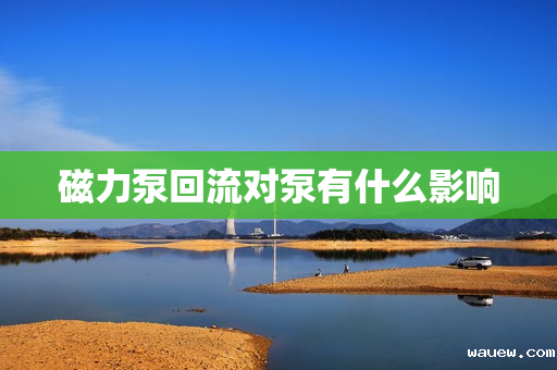 磁力泵回流对泵有什么影响