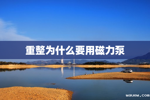 重整为什么要用磁力泵