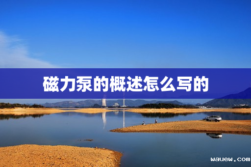 磁力泵的概述怎么写的