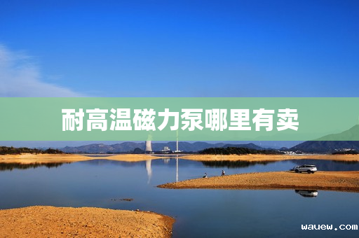 耐高温磁力泵哪里有卖