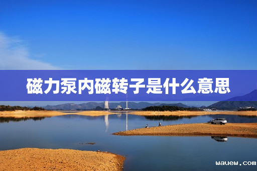 磁力泵内磁转子是什么意思