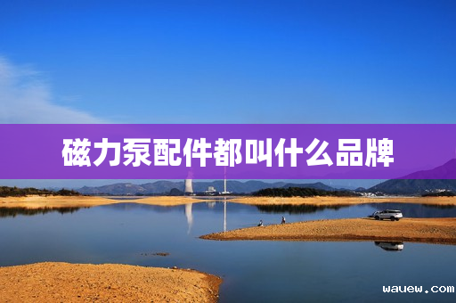 磁力泵配件都叫什么品牌