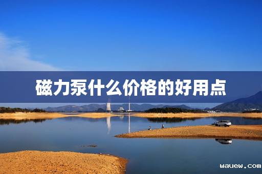 磁力泵什么价格的好用点