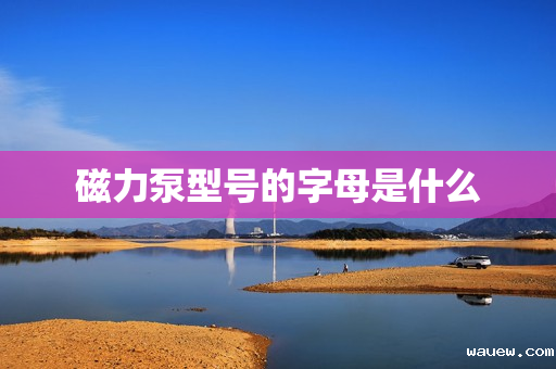 磁力泵型号的字母是什么