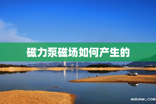 磁力泵磁场如何产生的