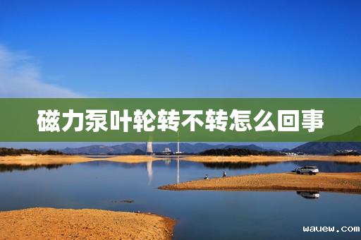 磁力泵叶轮转不转怎么回事