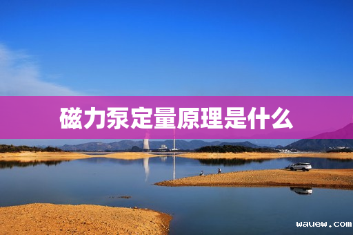 磁力泵定量原理是什么