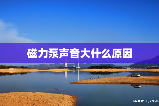 磁力泵声音大什么原因