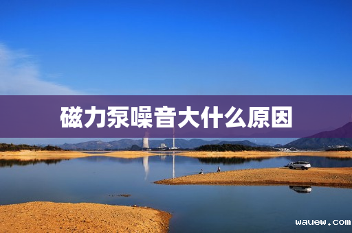 磁力泵噪音大什么原因