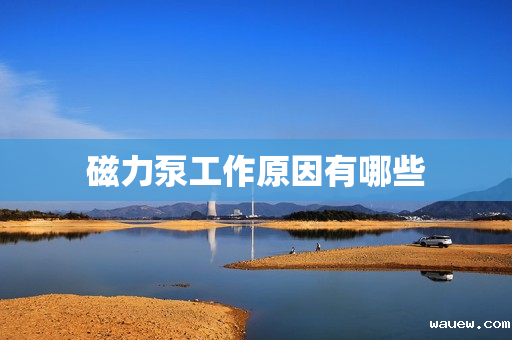 磁力泵工作原因有哪些