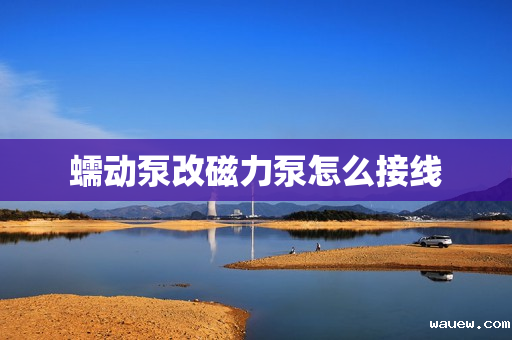 蠕动泵改磁力泵怎么接线