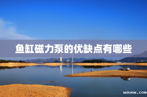 鱼缸磁力泵的优缺点有哪些