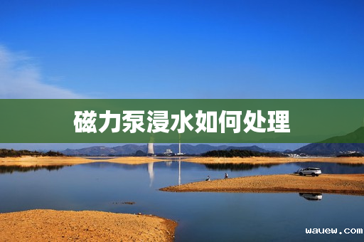 磁力泵浸水如何处理