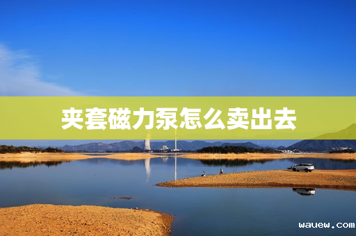 夹套磁力泵怎么卖出去