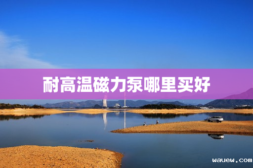 耐高温磁力泵哪里买好