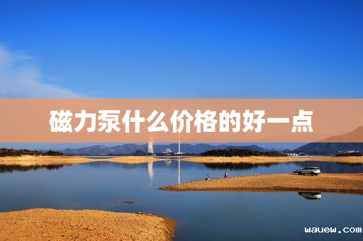 磁力泵什么价格的好一点