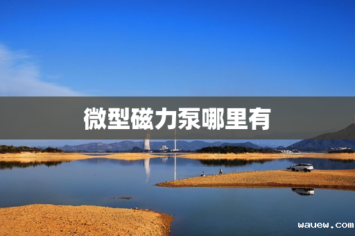 微型磁力泵哪里有