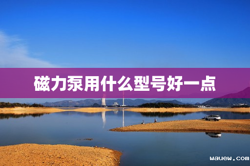 磁力泵用什么型号好一点