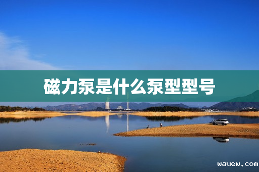 磁力泵是什么泵型型号