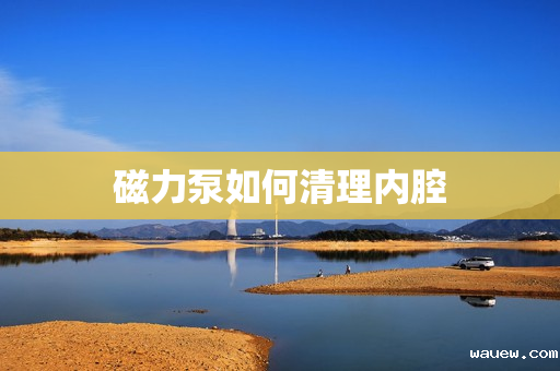 磁力泵如何清理内腔