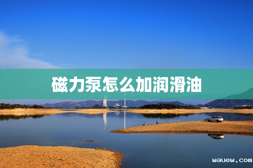 磁力泵怎么加润滑油