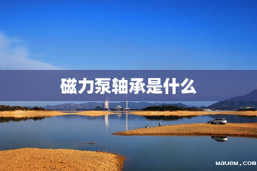 磁力泵轴承是什么