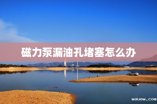 磁力泵漏油孔堵塞怎么办