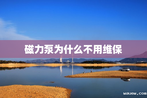 磁力泵为什么不用维保