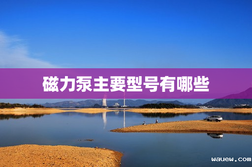 磁力泵主要型号有哪些