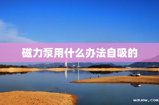 磁力泵用什么办法自吸的