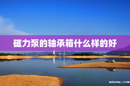 磁力泵的轴承箱什么样的好