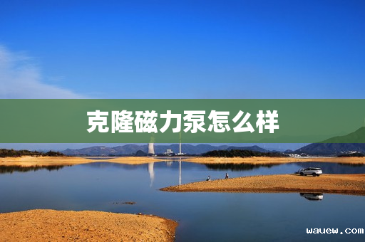 克隆磁力泵怎么样