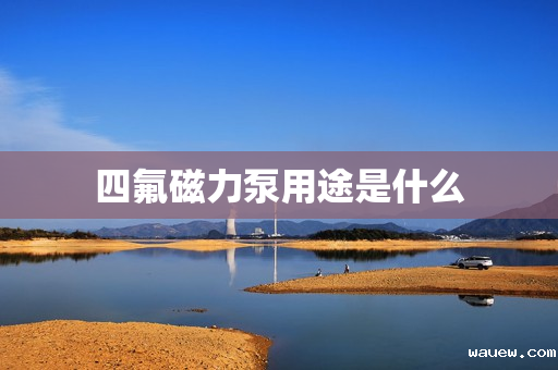 四氟磁力泵用途是什么