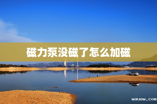 磁力泵没磁了怎么加磁