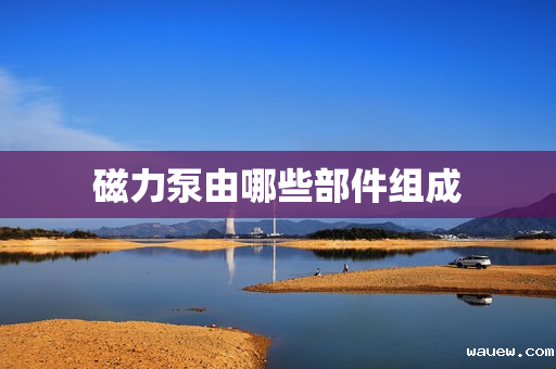 磁力泵由哪些部件组成