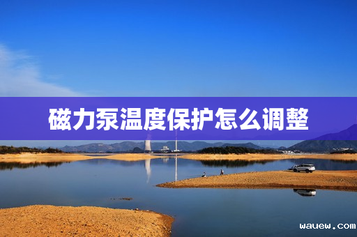 磁力泵温度保护怎么调整