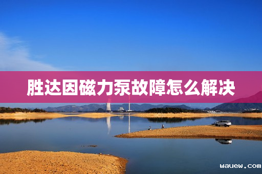胜达因磁力泵故障怎么解决