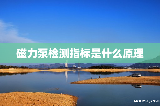 磁力泵检测指标是什么原理