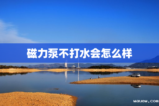 磁力泵不打水会怎么样