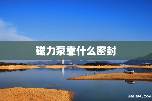 磁力泵靠什么密封