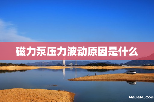 磁力泵压力波动原因是什么