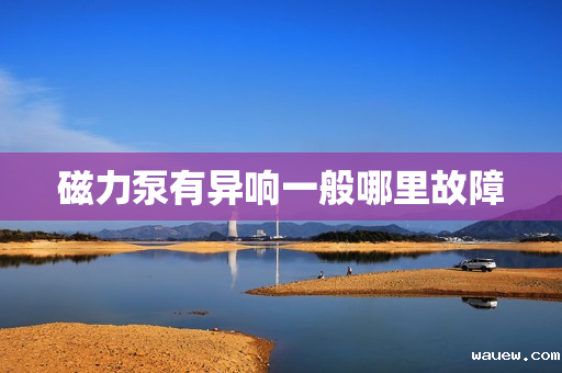 磁力泵有异响一般哪里故障